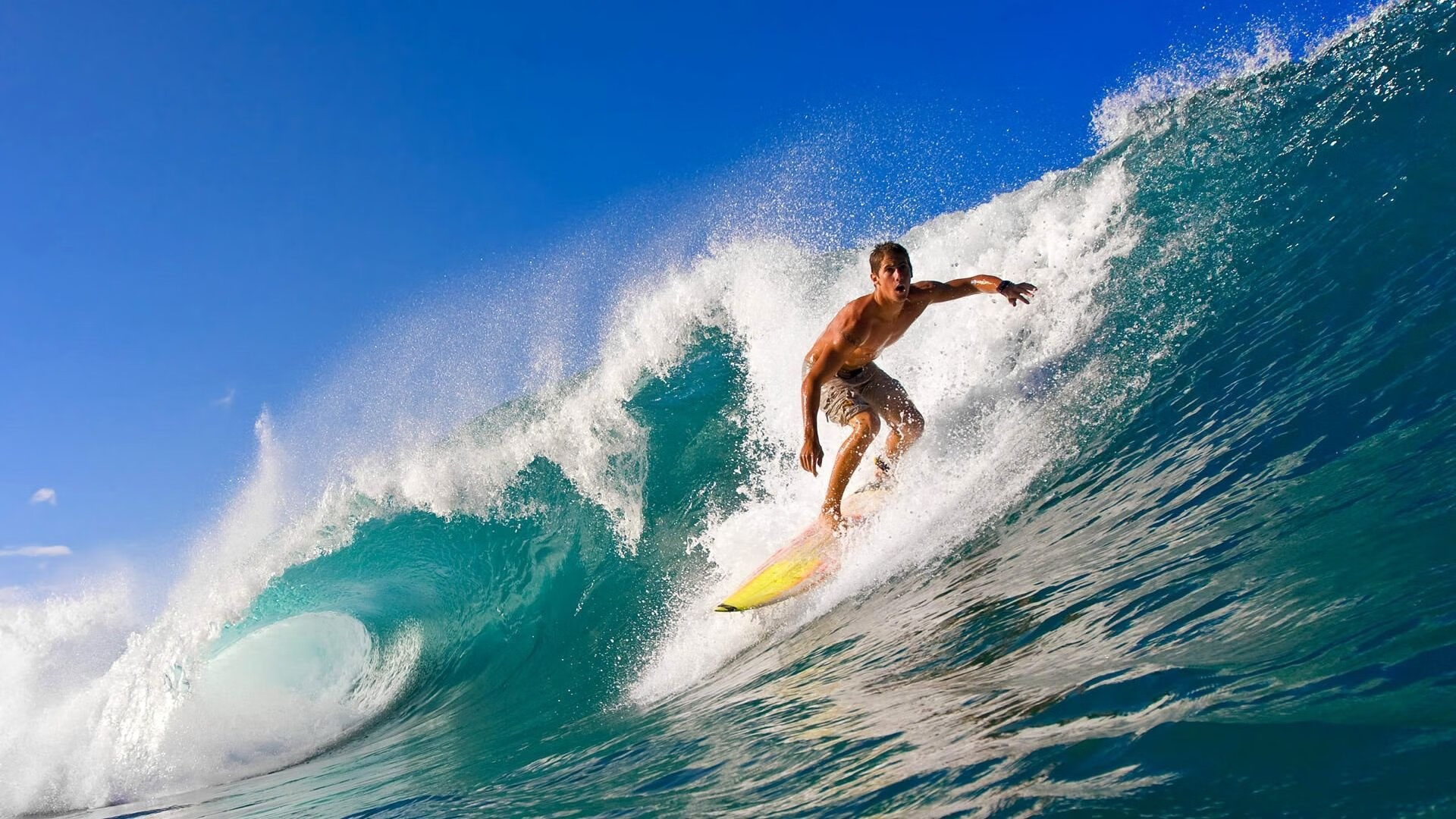 九游官方正版-体育文化融合科技打造智慧展览，体育文化创意产业