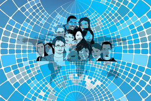 九游app电脑版官方下载-美国队赛制分析：赛制中的人员调整与战术变化，美国队训练赛